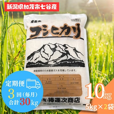 【毎月定期便】新潟県加茂市七谷産コシヒカリ 精米10kg (5kg×2袋)全3回