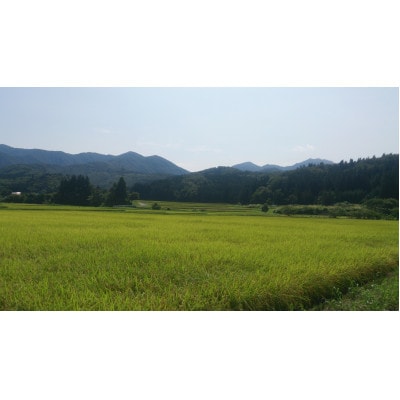 【毎月定期便】加茂市産コシヒカリ5kg　全6回