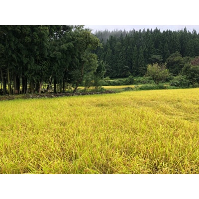 七谷米(2kg×2)