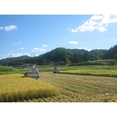 【2024年10月上旬発送】【新潟県加茂市七谷産】コシヒカリ5kg×2袋(高柳産・生産者指定)