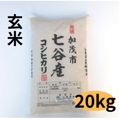 【新潟県加茂市七谷産】コシヒカリ玄米5kg×4袋(高柳産・生産者指定)