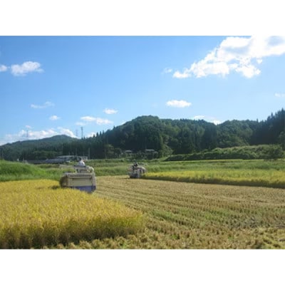 【新潟県加茂市七谷産】コシヒカリ玄米5kg×4袋(高柳産・生産者指定)