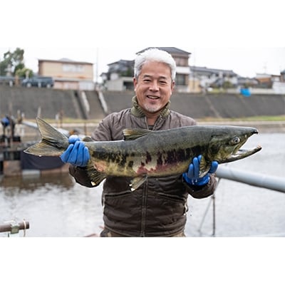 新潟県加茂産　植酸栽培コシヒカリ「伝」5kg(精米・脱酸素剤入)