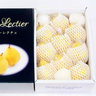 【2025年先行予約】 新潟特産 幻の洋梨ル・レクチェ 厳選品 約3kg 《11月下旬以降配送》
