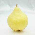 【2025年先行予約】 新潟特産 幻の洋梨ル・レクチェ 青秀品 約2kg 《11月下旬以降配送》