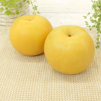 【2025年先行予約】新潟県産 和梨 新美月 新王 2品種詰め合わせ 約5kg《9月下旬以降配送》