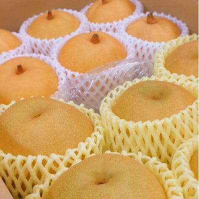 【2025年先行予約】新潟県産 和梨 新美月 新王 2品種詰め合わせ 約5kg《9月下旬以降配送》