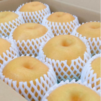 【2025年先行予約】新潟県産和梨 新高 約5kg 《10月上旬以降配送》