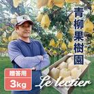 「青柳果樹園のルレクチェ」 西洋梨 秀品贈答用 3kg(7～9玉)|ふるさと納税 冬限定新潟の味覚