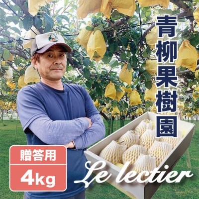 「青柳果樹園のルレクチェ」 西洋梨 秀品贈答用 4kg(9～11玉)|ふるさと納税 冬限定新潟の味覚