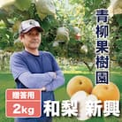 「青柳果樹園の和梨」新興 贈答用 2kg(3～5大玉)|ふるさと納税 甘くてみずみずしい旬の味覚
