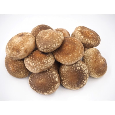 加茂市の生しいたけ約500g(10～15個)