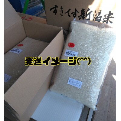 新潟県加茂産コシヒカリ「かも米」真空パック　5kg