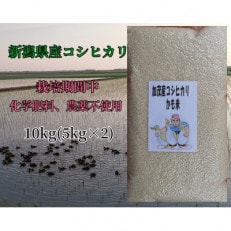新潟県加茂産コシヒカリ「かも米」真空パック　10kg