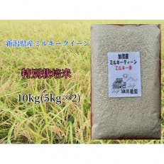 新潟県加茂産ミルキークィーン「ミルキー米」真空パック 10kg