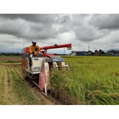新潟県加茂産ミルキークィーン「ミルキー米」真空パック　10kg
