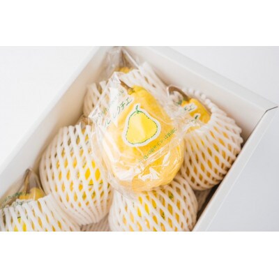 【厳選プレミアム】西洋梨ル・レクチェ約2kg