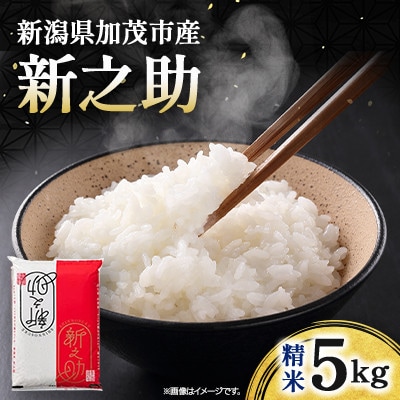 令和7年産　新之助　精米5kg