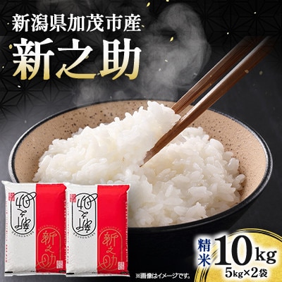 令和7年産　新之助　精米10kg