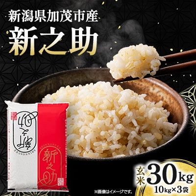 【先行予約】令和8年産　新之助　玄米30kg