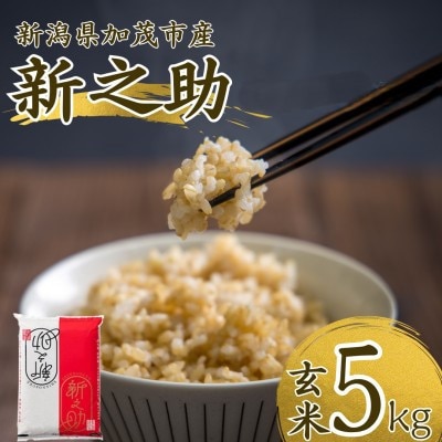 【先行予約】令和8年産　新之助　玄米5kg