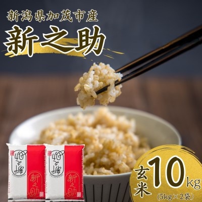 【先行予約】令和8年産　新之助　玄米10kg(5kg×2袋)