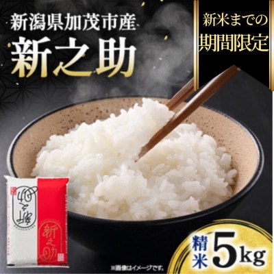 【期間限定・個数限定】令和7年産　新之助　精米5kg　特別企画
