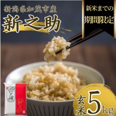 【期間限定・個数限定】令和7年産　新之助　玄米5kg　特別企画