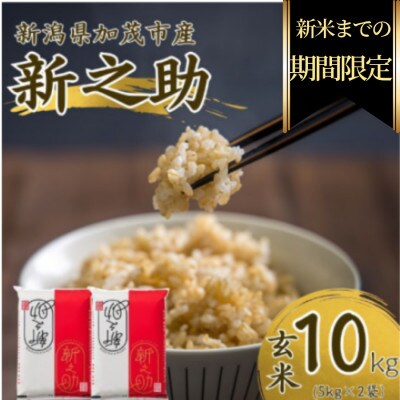 【期間限定・個数限定】令和7年産　新之助　玄米10kg(5kg×2袋)　特別企画