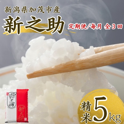 【発送月固定定期便】【先行予約】新之助 精米5kg　10月中旬より順次発全3回