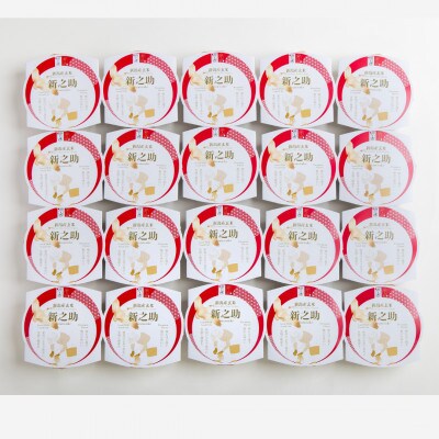 【毎月定期便】新潟県産 新之助 玄米パックライス(150g×20個入)全9回