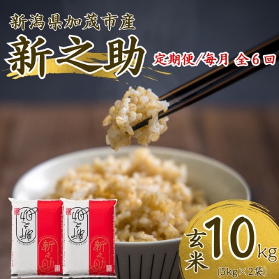 【発送月固定定期便】【先行予約】新之助 玄米10kg　10月上旬より順次発送全6回