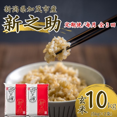 【発送月固定定期便】【先行予約】新之助 玄米10kg　10月上旬より順次発送全3回