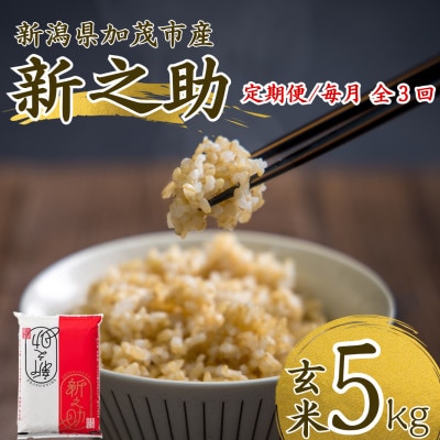 【発送月固定定期便】【先行予約】新之助 玄米5kg　10月上旬より順次発送全3回