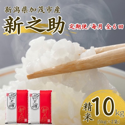 【発送月固定定期便】【先行予約】新之助 精米10kg　10月上旬より順次発送全6回