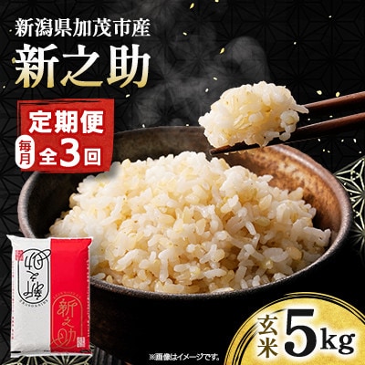 【発送月固定定期便】【先行予約】新之助 玄米5kg　10月上旬より順次発送全3回