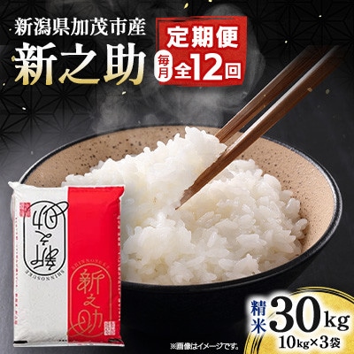 【毎月定期便】新之助 精米30kg(10kg×3袋)全12回
