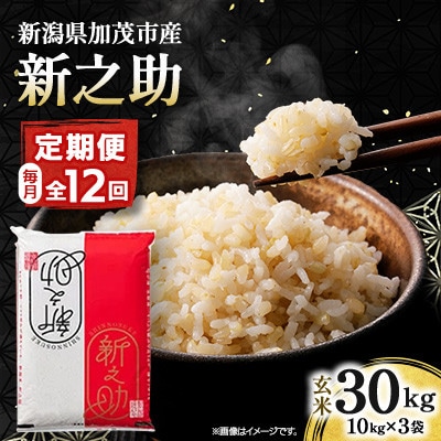 【毎月定期便】新之助 玄米30kg(10kg×3袋)全12回
