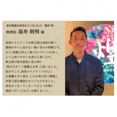 【発送月固定定期便】新之助 精米4kg(2kg×2袋)全12回