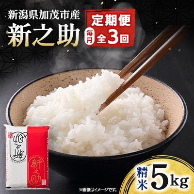 【発送月固定定期便】新之助 精米5kg　4月上旬より順次発送全3回