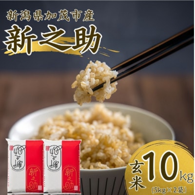 【発送月固定定期便】新之助　玄米10kg　2026年10月上旬より順次発送全3回