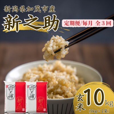 【発送月固定定期便】新之助　玄米10kg　2026年10月上旬より順次発送全6回