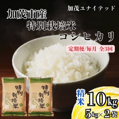 【発送月固定定期便】特別栽培米コシヒカリ　精米　10kg　10月上旬より順次発送全3回