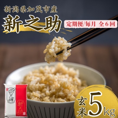 【発送月固定定期便】新之助　玄米5kg　2026年10月上旬より順次発送全6回