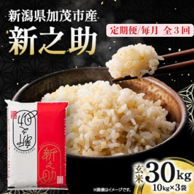 【発送月固定定期便】新之助　玄米30kg　2026年10月上旬より順次発送全3回