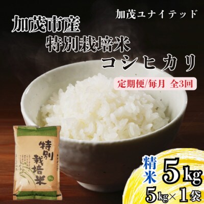 【発送月固定定期便】特別栽培米コシヒカリ　精米5kg　2026年10月上旬より順次発送全3回
