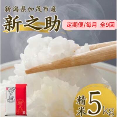 【発送月固定定期便】新之助　精米5kg　2026年10月上旬より順次発送全9回
