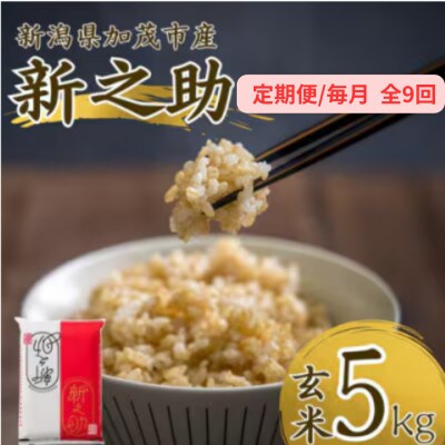【発送月固定定期便】新之助　玄米5kg　2026年10月上旬より順次発送全9回