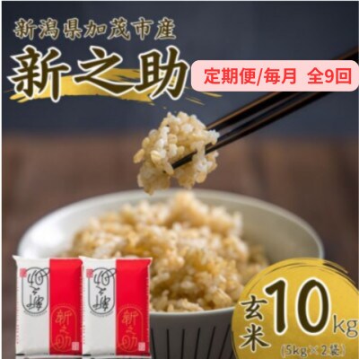【発送月固定定期便】新之助　玄米10kg　2026年10月上旬より順次発送全9回