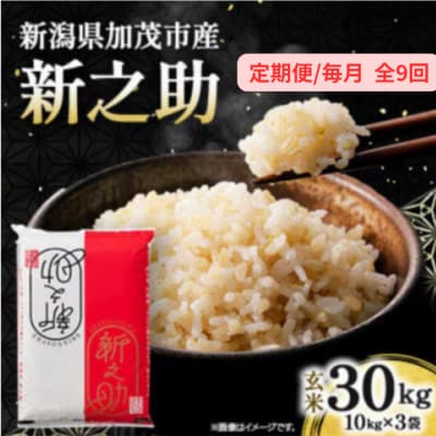 【発送月固定定期便】新之助　玄米30kg　2026年10月上旬より順次発送全9回